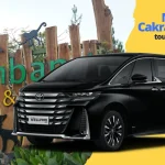 Sewa Alphard Bulanan Bandung - Layanan Rental Mewah Terbaik